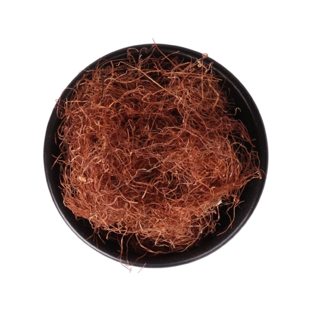 Corn Silk Tea Natural Detox and Weight Loss Aid